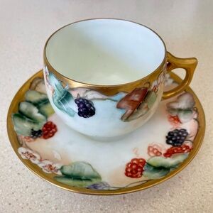 Elegant Bavaria, Germany Berry Tea Cup
